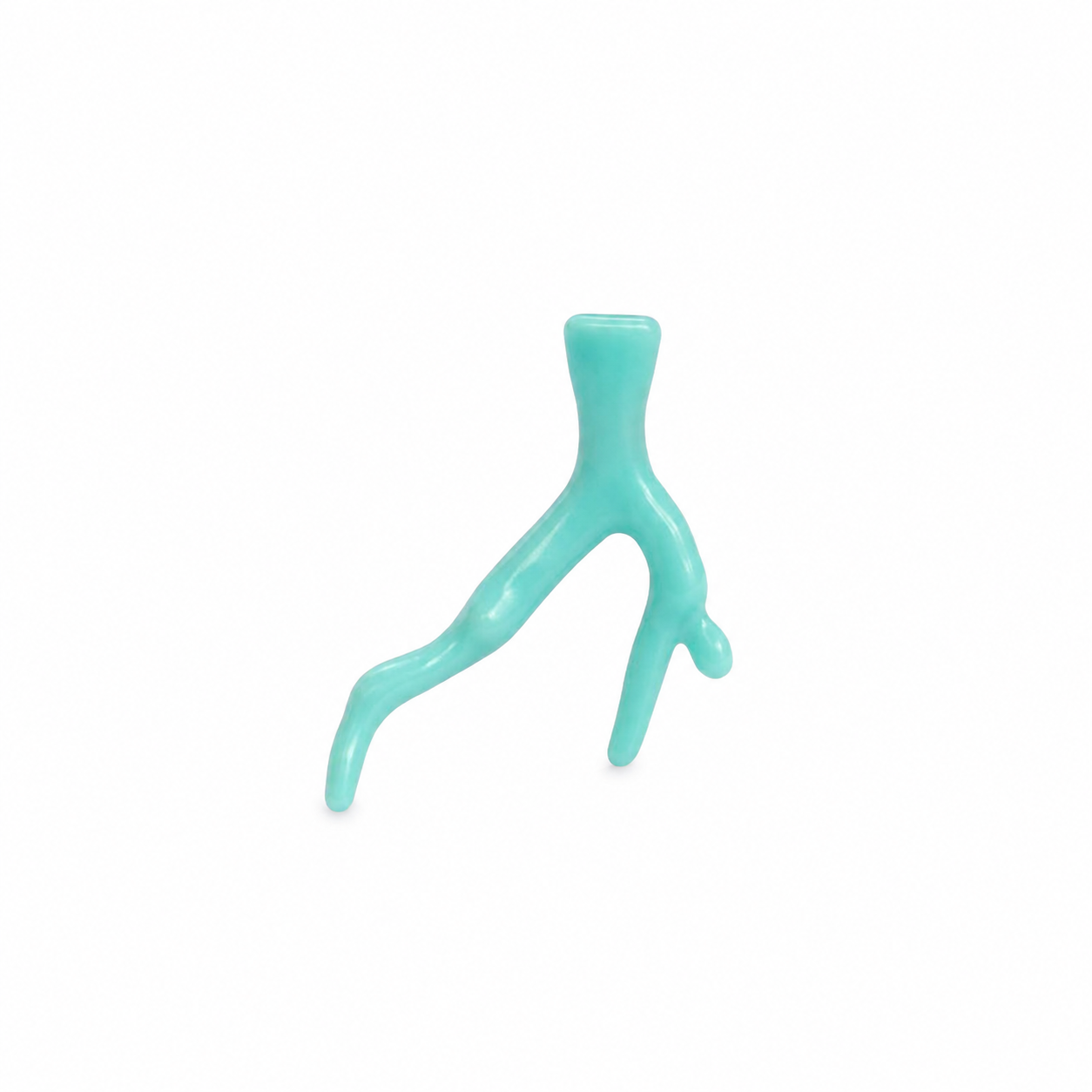 Zoom